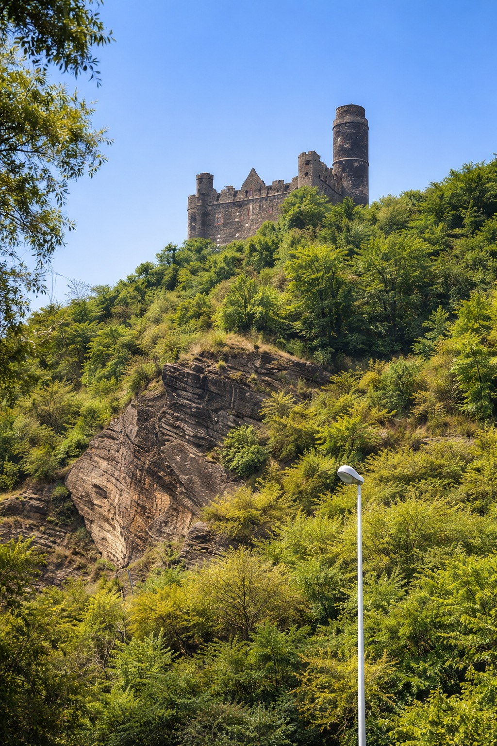 Burgblick aus dem Garten