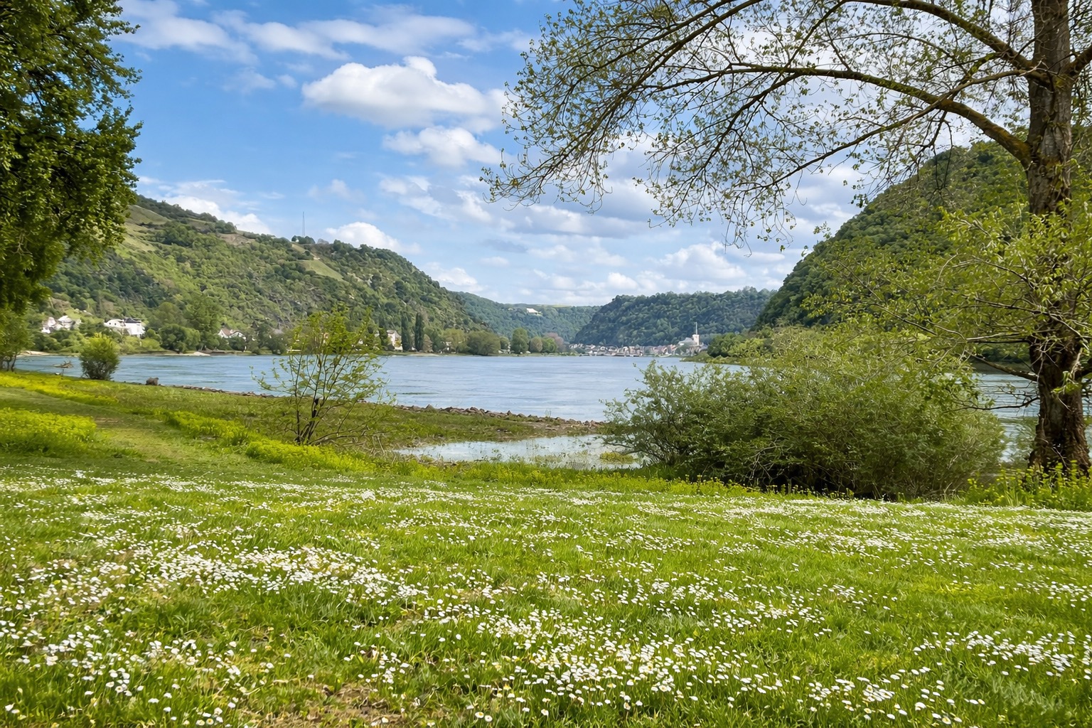 Wiese am Rhein